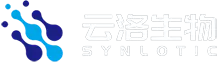 Synlotic بائیوٹیک （شنگھائی） Co. ، لمیٹڈ