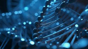 ایرگوتھیونین: فوڈ ہیلتھ انڈسٹری میں 